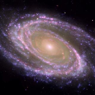 Ejemplo de galaxia espiral cercana, M81, donde se identifica fácilmente el bulbo, la parte central más rojiza, y el disco, plagado de zonas donde se forman estrellas actualmente y aparecen como regiones azules formando brazos espirales. Crédito: NASA/JPL-Caltech/ESA/Harvard-Smithsonian CfA.