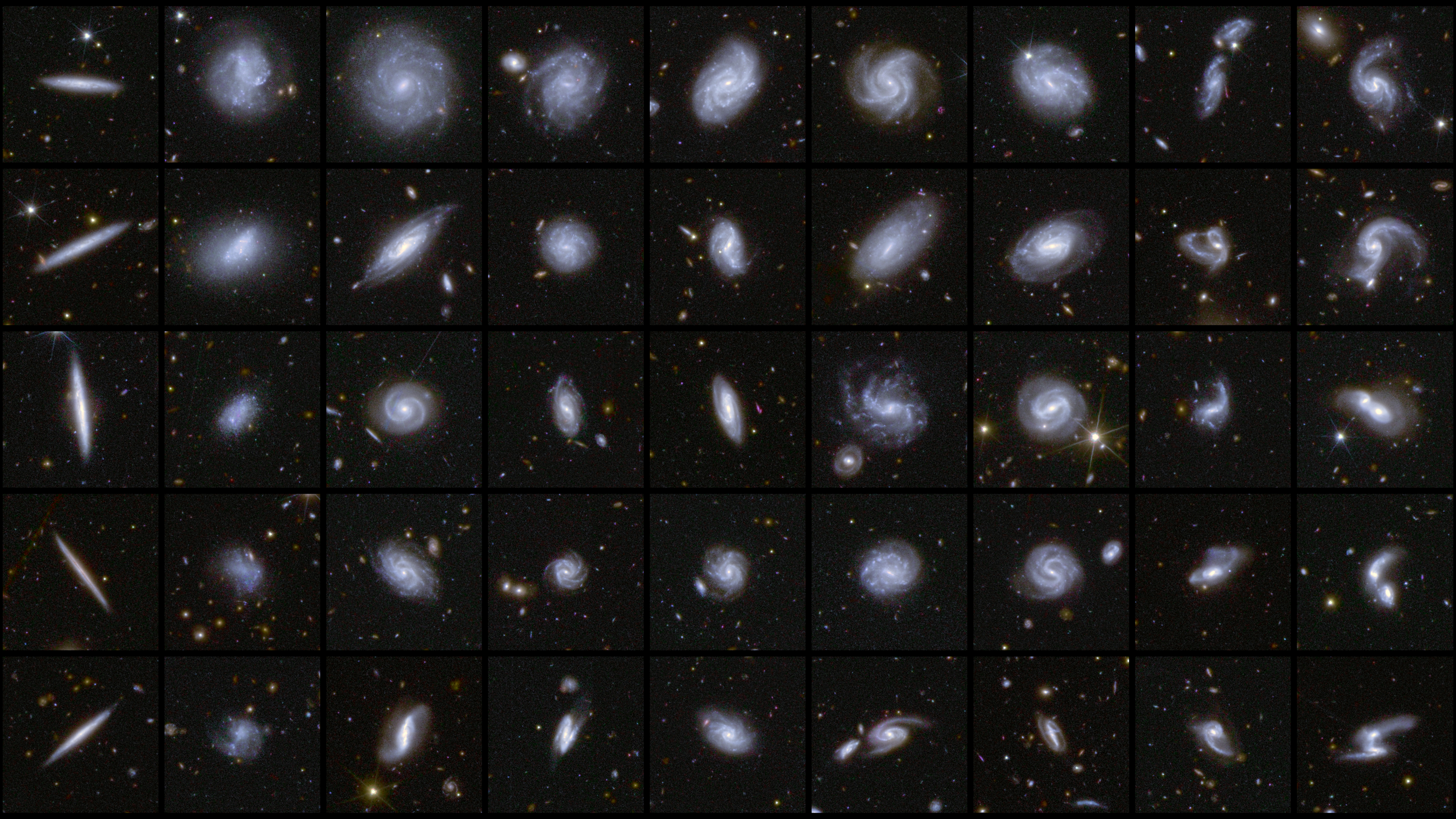 Galaxies in different shapes, all captured by Euclid during its first observations of the Deep Field areas