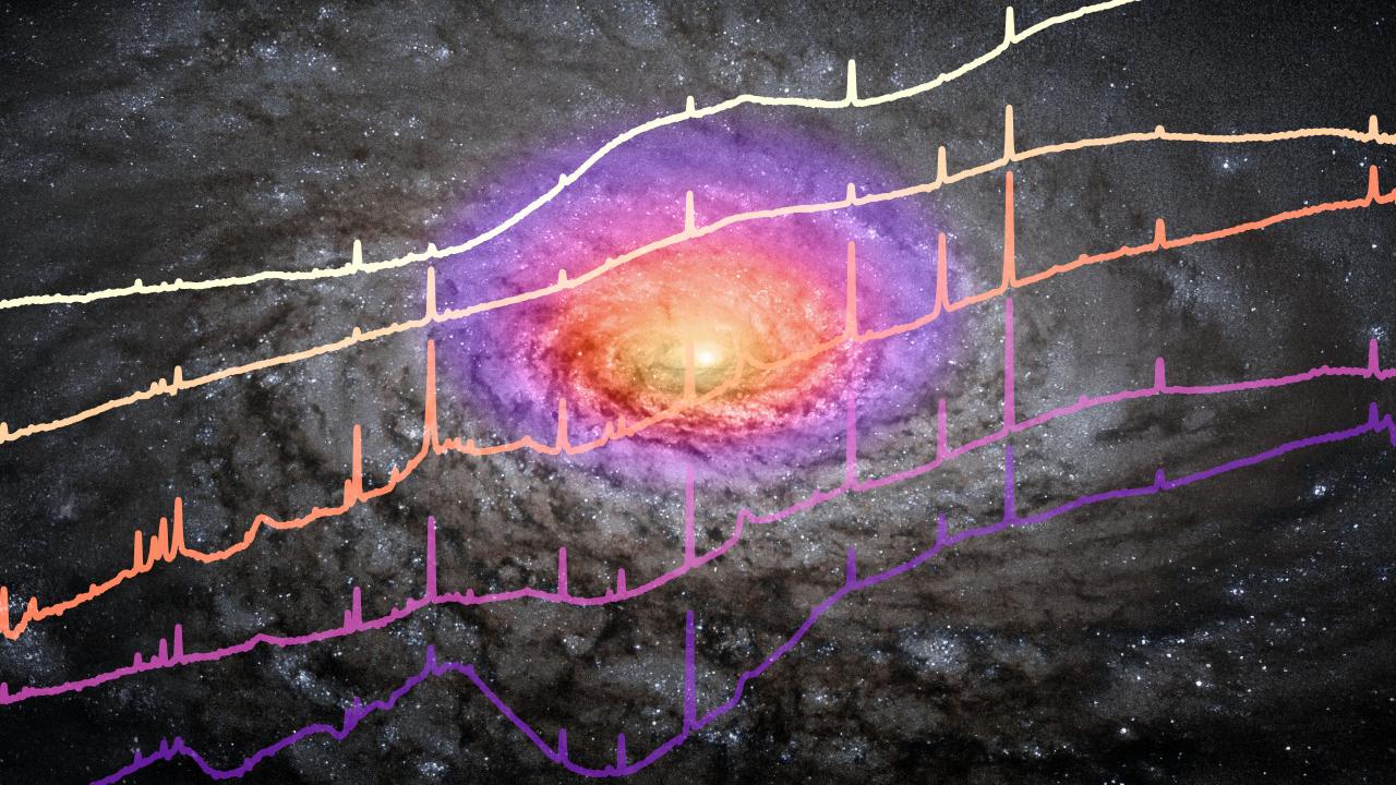 Infrared spectra of the central region of five quasars observed with JWST