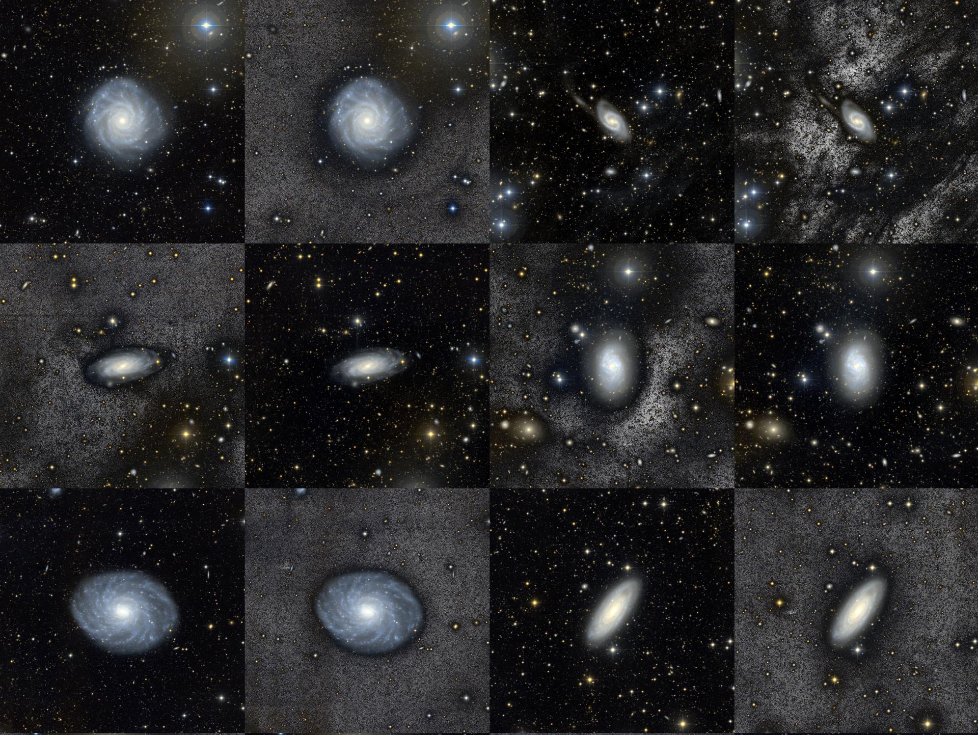 BEARD_paperI_carlosmarrero