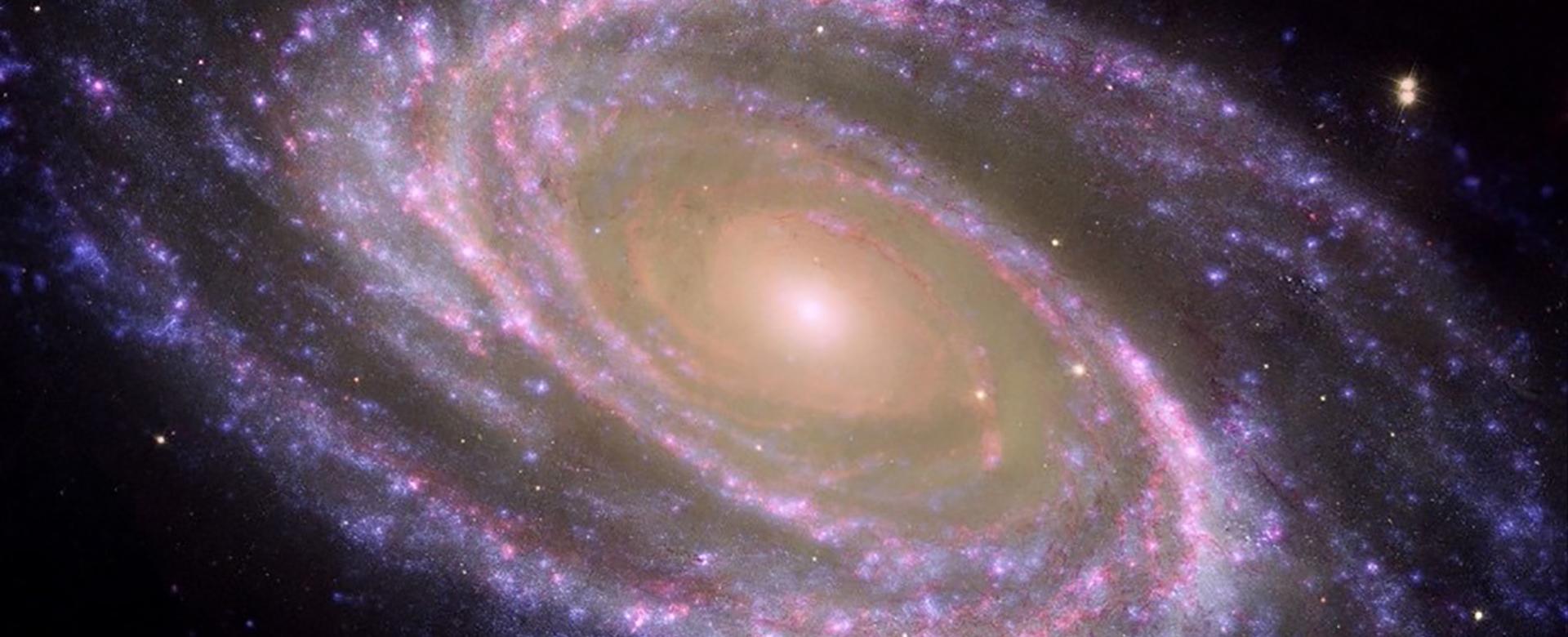 An example of a nearby spiral galaxy, M81, where the bulge is easily identified as the central redder part, and the disc, dotted with zones where stars are currently forming and appear as blue regions forming spiral arms. Credit: NASA/JPL-Caltech/ESA/Harvard-Smithsonian CfA. An example of a nearby spiral galaxy, M81, where the bulge is easily identified as the central redder part, and the disc, dotted with zones where stars are currently forming and appear as blue regions forming spiral arms. Credit: NASA/JPL-Caltech/ESA/Harvard-Smithsonian CfA.