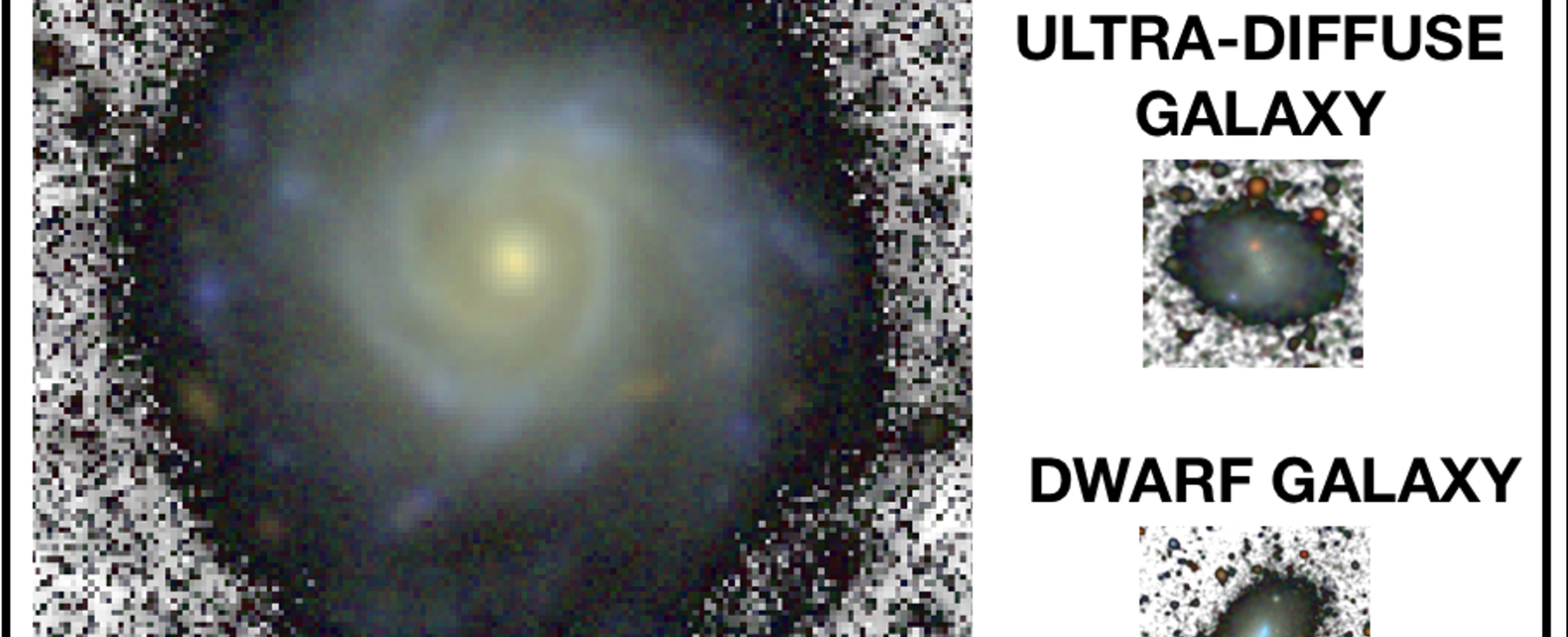 A Milky Way-like spiral galaxy, a dwarf and a faint ultra-diffuse galaxy. A Milky Way-like spiral galaxy, a dwarf and a faint ultra-diffuse galaxy shown to the same physical scale using images of similar depth. On average, the diffuse galaxy is 10 times smaller than the Milky Way analogue. Credit: Adapted from Chamba, Trujillo & Knapen (2020).