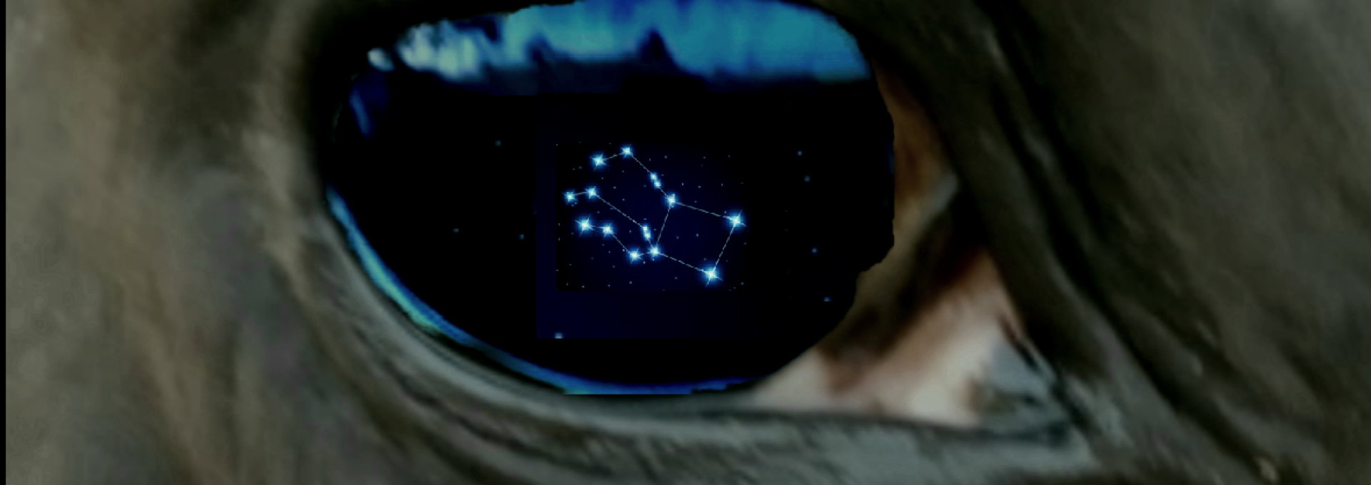 "Hipe, la yegua negra". Crédito: Aury Torres Álvarez 