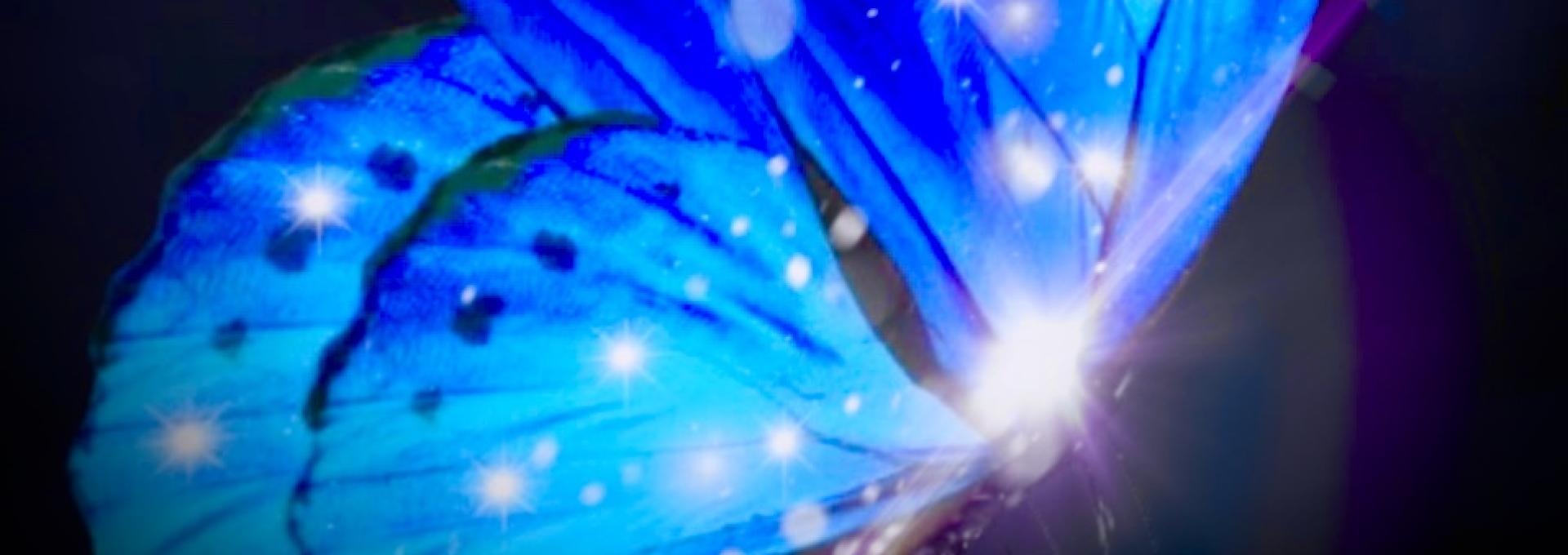 La revelación de la mariposa