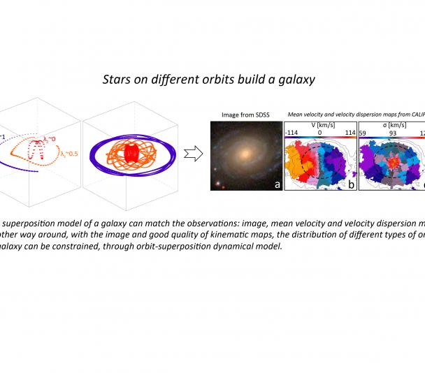 Estrellas en diferentes órbitas construyen una galaxia. 