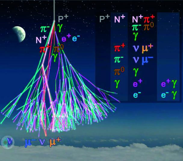 Details of a particles' cascade in the Earth's upper atmosphere.
