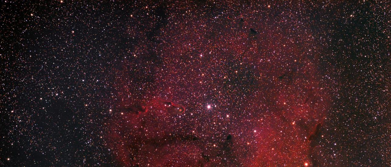 IC 1396 y la nebulosa Trompa de Elefante