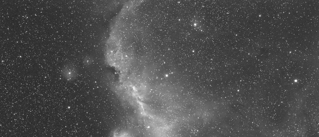 Nebulosa de la Gaviota