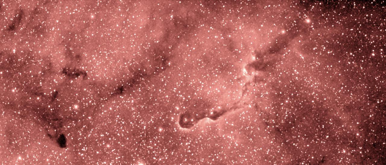 IC 1396 and the Elephant Trunk nebula