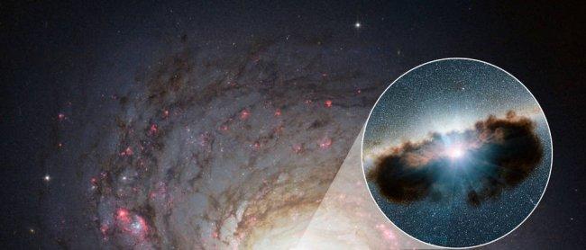 The material that obscures supermassive black holes, the connection with their host galaxies