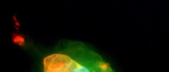 NGC 7009 (Saturn Nebula). Credit:Bruce Balick (University of Washington), Jason Alexander (University of Washington), Arsen Hajian (U.S. Naval Observatory), Yervant Terzian (Cornell University), Mario Perinotto (University of Florence, Italy), Patrizio Pa