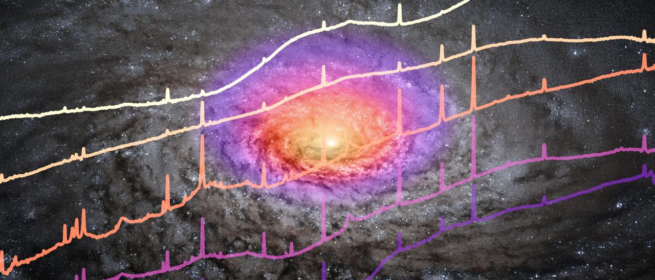 Infrared spectra of the central region of five quasars observed with JWST