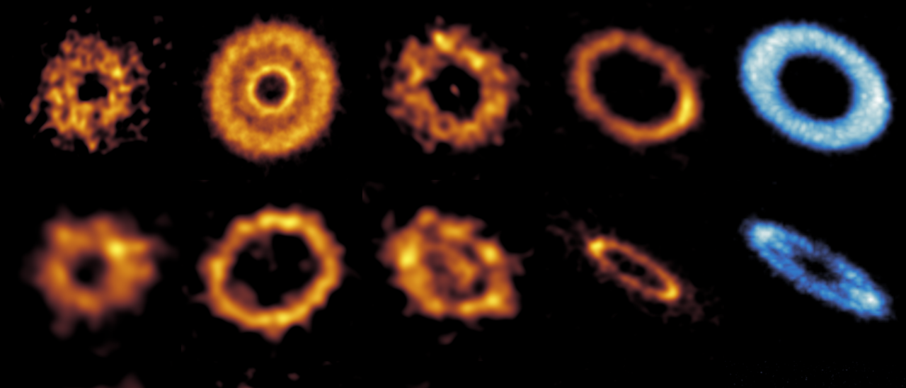 This ARKS gallery of tenuous debris discs reveals details about their shape and chemical composition. Image credit: Sebastian Marino, Sorcha Mac Manamon, and the ARKS collaboration.