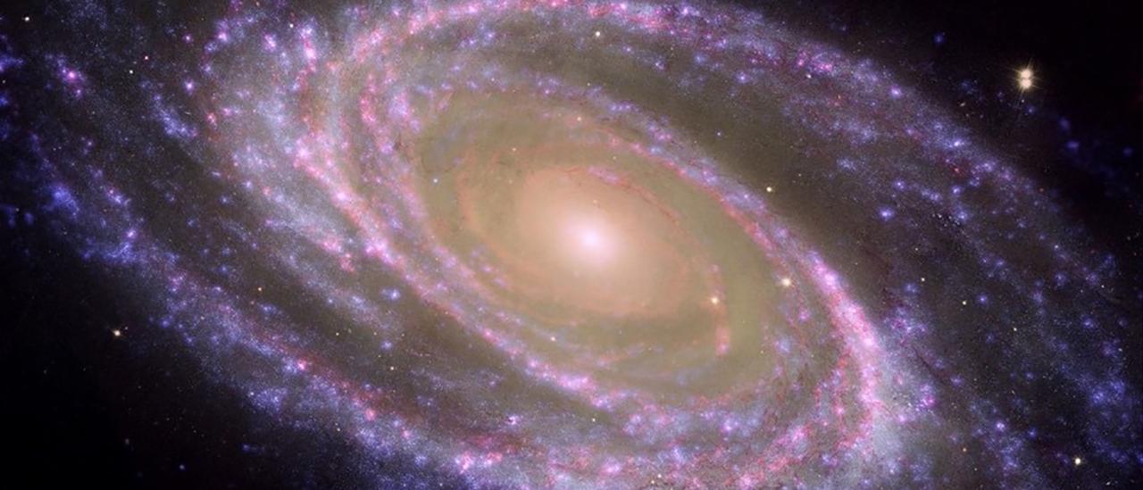 An example of a nearby spiral galaxy, M81, where the bulge is easily identified as the central redder part, and the disc, dotted with zones where stars are currently forming and appear as blue regions forming spiral arms. Credit: NASA/JPL-Caltech/ESA/Harvard-Smithsonian CfA.