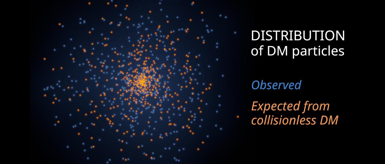  Simulation illustrating the distribution of dark matter particles expected in a low-mass galaxy if the dark matter did not collide (in orange, concentrated towards the center) versus the observed dark matter (in blue, far more dispersed) / Gabriel Pérez (IAC)
