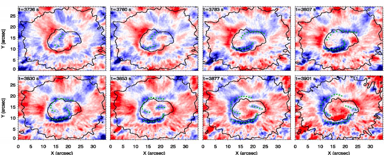 Temporal evolution of the spiral wavefront observed in a sunspot photosphere.