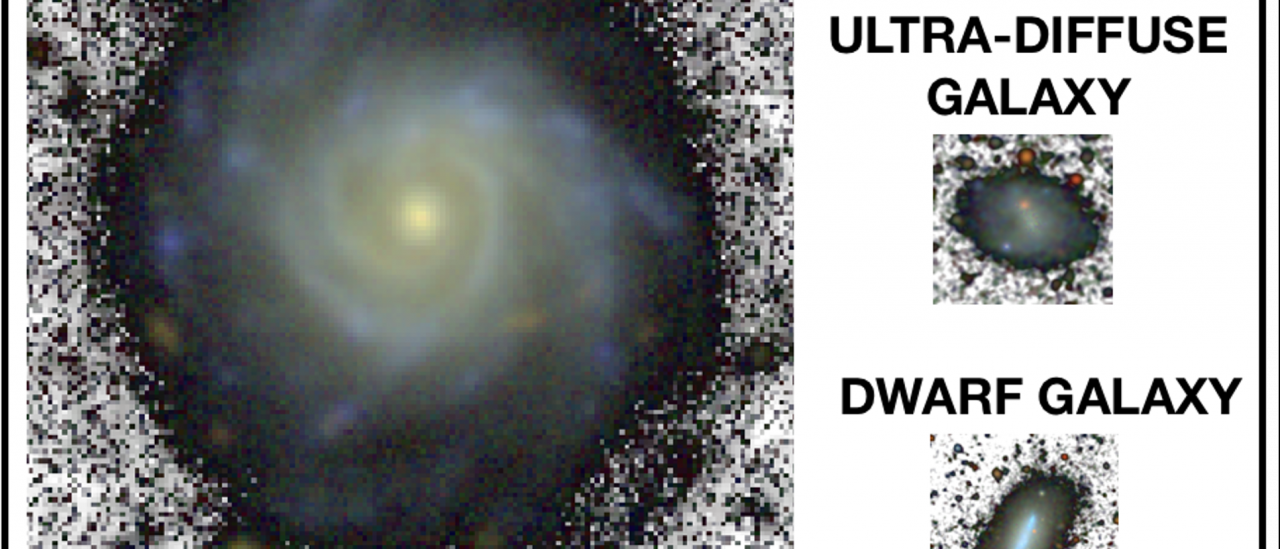 A Milky Way-like spiral galaxy, a dwarf and a faint ultra-diffuse galaxy shown to the same physical scale using images of similar depth.  On average, the diffuse galaxy is 10 times smaller than the Milky Way analogue. Credit: Adapted from Chamba, Trujillo & Knapen (2020).