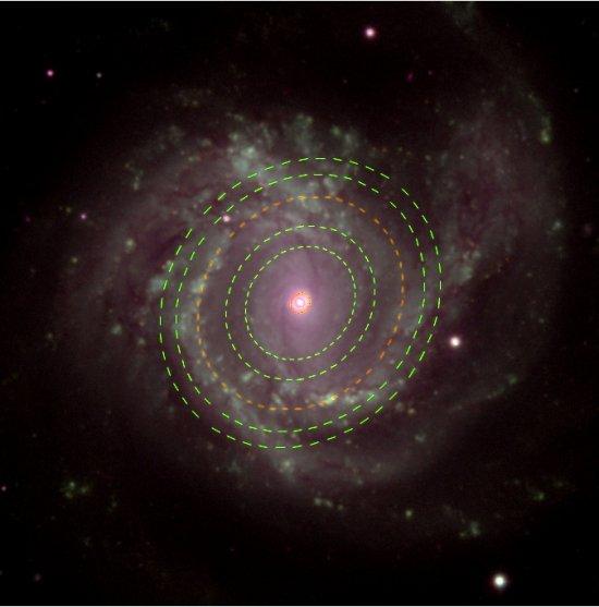 Image of Messier 6, one of the galaxies in the study. Superposed dashed ellipses are rings indicating concentric density waves in this galaxy. Source: SLOAN + IACbia