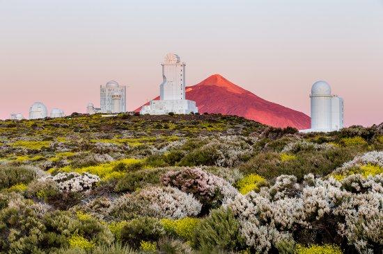 Spring at the Observatorio del Teide (Tenerife). Credits: Daniel López/IAC