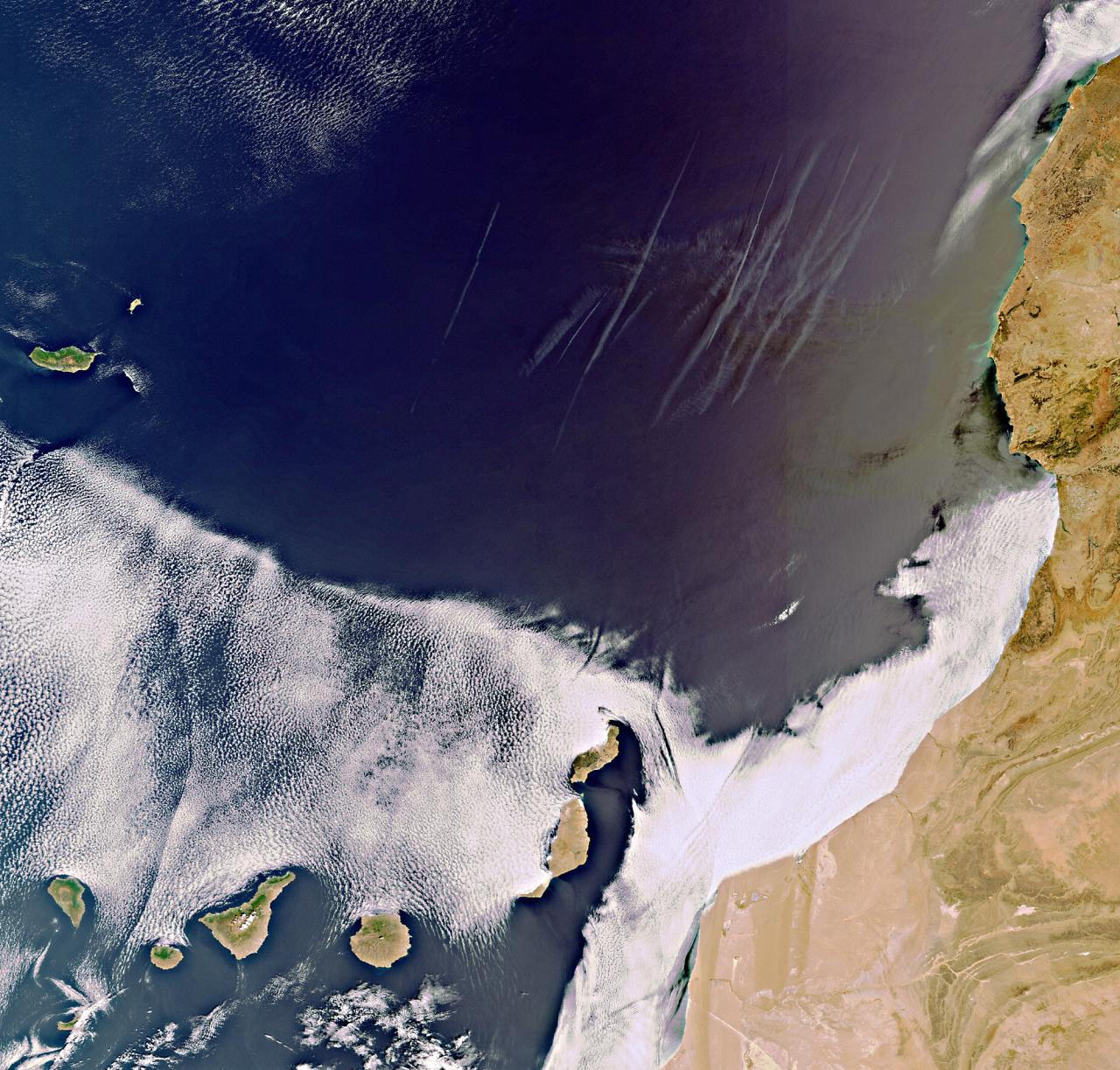 The subtropical Canary Islands off Africa’s west coast are pictured in this image, acquired on 8 September 2011 by Envisat’s Medium Resolution Imaging Spectrometer (MERIS). To the north, multiple contrails can be seen over the dark blue water. To the east