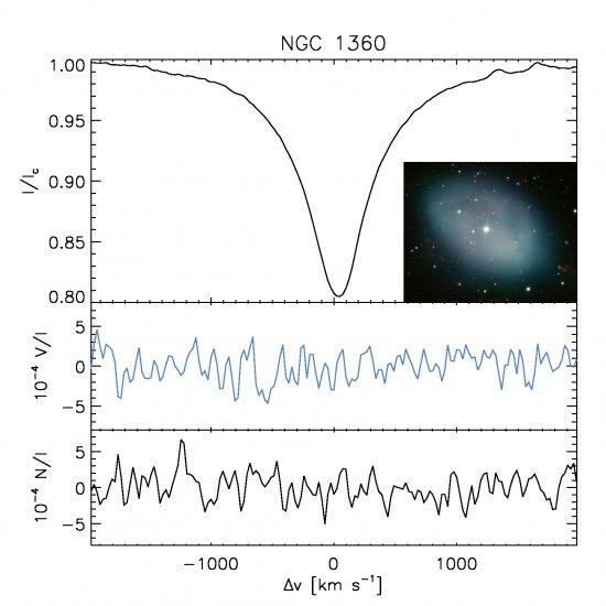 Average spectrum of the Balmer lines of the central star of NGC 1360. The upper panel represents the mean intensity profile, the middle one displays the mean circular polarization, and the bottom one the mean nul spectrum (a certain modulation which expec