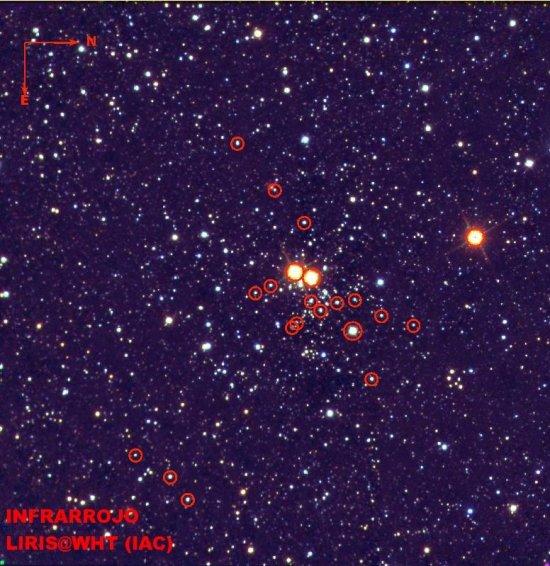 False colour image (blue=J, green=H, red=KS) for the massive stellar cluster Masgomas-1. Massive stars with spectral classification are marked with red circles.//LIRIS/ Telescopio William Herschel.