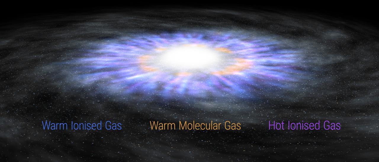 Ilustración artística que muestra los vientos ionizados templado y caliente y el gas molecular templado rotando en una galaxia con un AGN. Crédito: Gabriel Pérez Díaz (IAC).