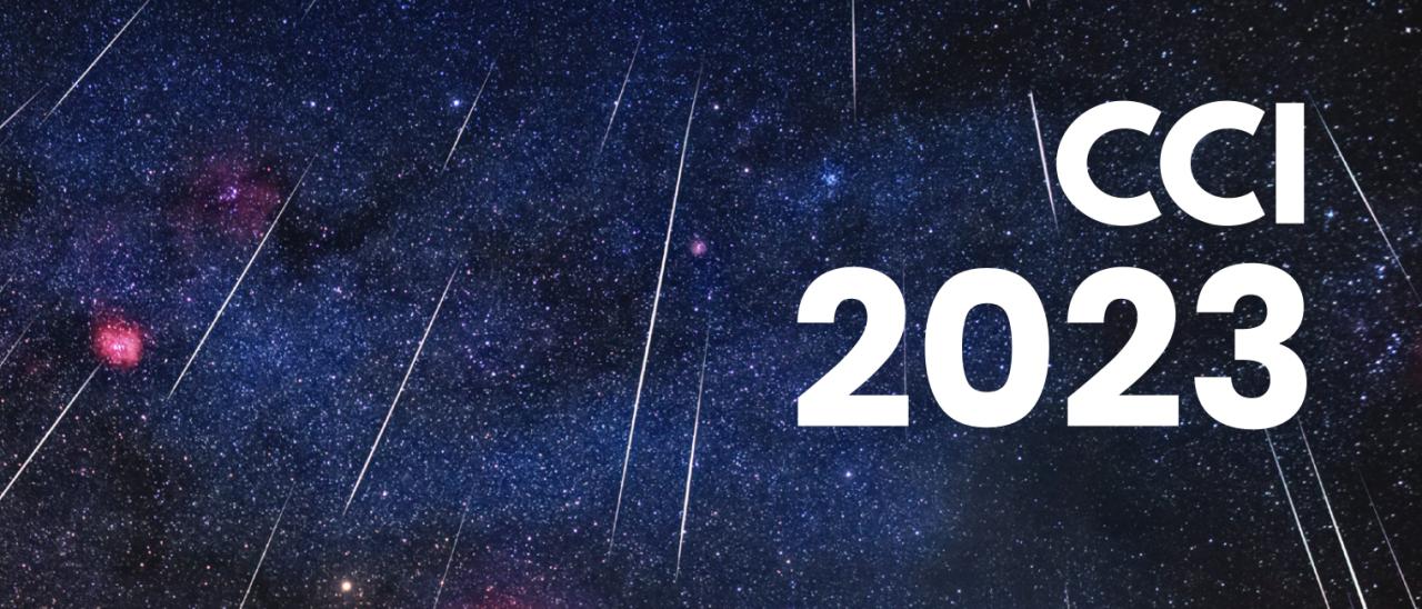 Informe Anual CCI 2023