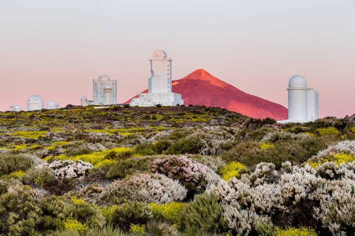 Spring at the Observatorio del Teide (Tenerife)