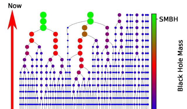 Esquema de evolución de un agujero negro de masa intermedia