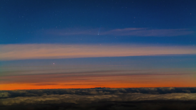 Cometa ISON