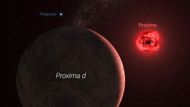 Proxima Centauri system, with Proxima b and Proxima d