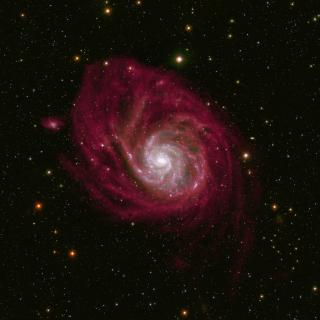 m101