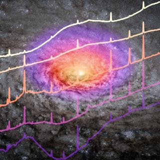 Infrared spectra of the central region of five quasars observed with JWST Infrared spectra of the central region of five quasars observed with JWST