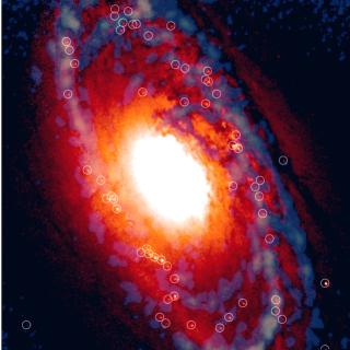 Central region of the old galaxy NGC 1386 where thousands of stars are forming into star clusters