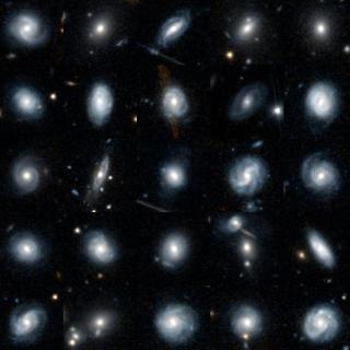 Selection of galaxy images taken by Euclid