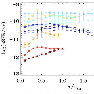 Radial profiles of the star formation rate (per unit mass) for the bulges (reddish colours) and discs (bluish colours) in our sample of ETGs. Different profiles represent the average distribution of the specific star formation rate for the bulge/disc components within four different mass bins. The averaged radial profiles are normalized to the galaxy effective radius.