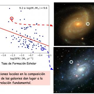 La anti-correlación entre la cantidad de metales y la tasa de formación de estrellas al comparar galaxias con una masa estelar similar. Se muestran galaxias con más (imagen inferior) y menos (imagen superior) regiones de formación estelar (los grupos azules).