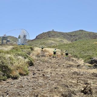 Técnicos de EIRIF cortan matorral para crear un área de cortafuego en las inmediaciones del Observatorio del Roque de los Muchachos, en La Palma Técnicos de EIRIF cortan matorral para crear un área de cortafuego en las inmediaciones del Observatorio del Roque de los Muchachos, en La Palma