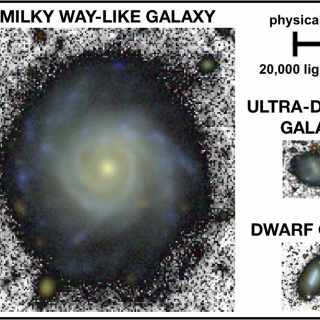 A Milky Way-like spiral galaxy, a dwarf and a faint ultra-diffuse galaxy shown to the same physical scale using images of similar depth.  On average, the diffuse galaxy is 10 times smaller than the Milky Way analogue. Credit: Adapted from Chamba, Trujillo & Knapen (2020).