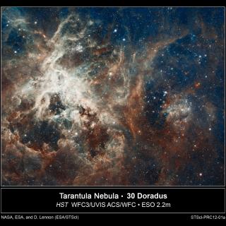 Nebulosa de la Tarántula Nebulosa de la Tarántula