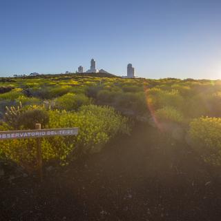 Teide Observatory. Credit: Daniel López / IAC.