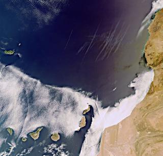 The subtropical Canary Islands off Africa’s west coast are pictured in this image, acquired on 8 September 2011 by Envisat’s Medium Resolution Imaging Spectrometer (MERIS). To the north, multiple contrails can be seen over the dark blue water. To the east 7901