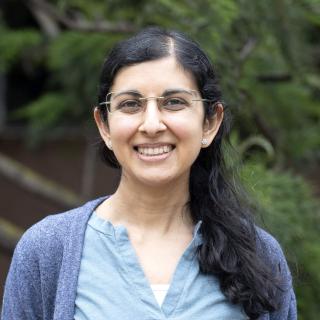 Savita Mathur, investigadora del Instituto de Astrofísica de Canarias y responsable del proyecto MELODY, reconocido con una ERC Advanced Grant.
