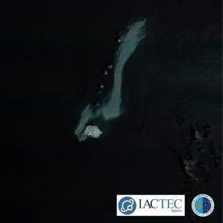 Imagen satelital en falso color del mar Arábigo en la que se aprecia una extensa mancha clara de petróleo junto al buque Caroline Bezengi y cerca de una isla del archipiélago omaní de Al Hallaniyat.