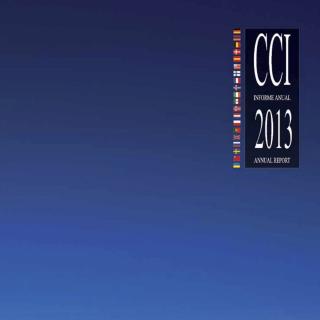 Informe anual CCI 2013 Informe anual CCI 2013