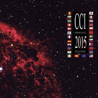 Informe anual CCI 2015